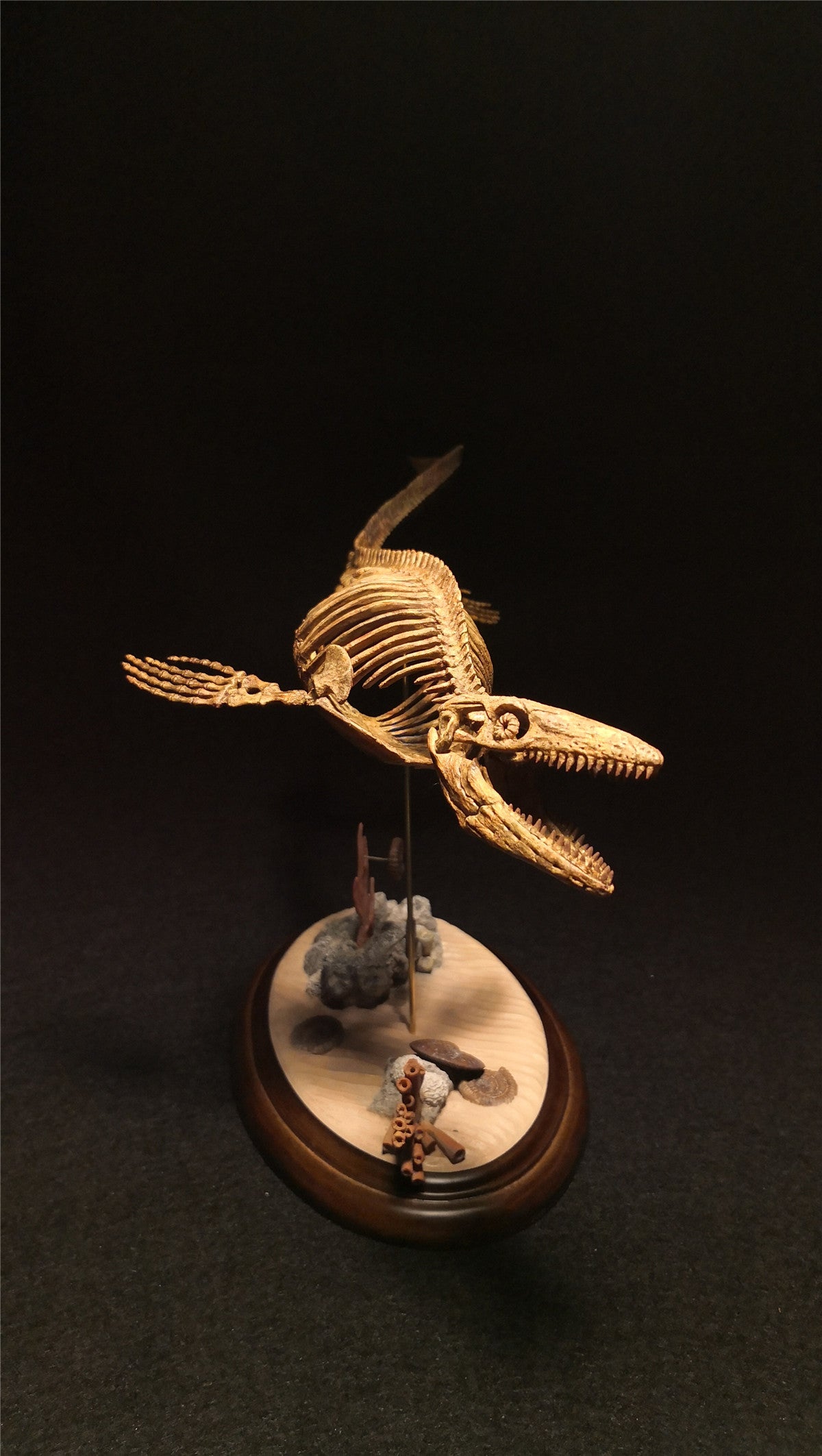 1/25 Mosasaurus Skeleton Model