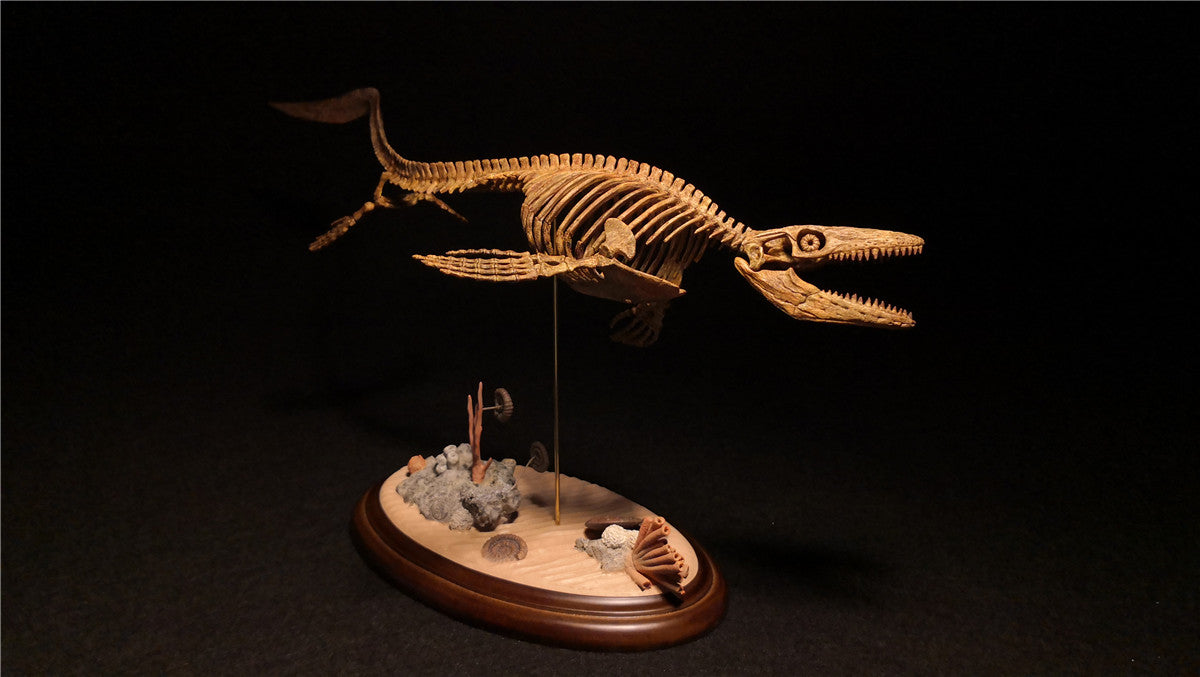 1/25 Mosasaurus Skeleton Model