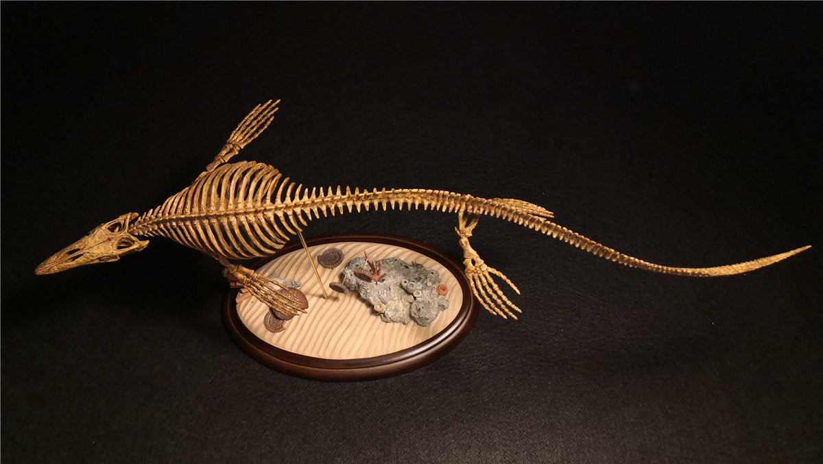 1/25 Mosasaurus Skeleton Model