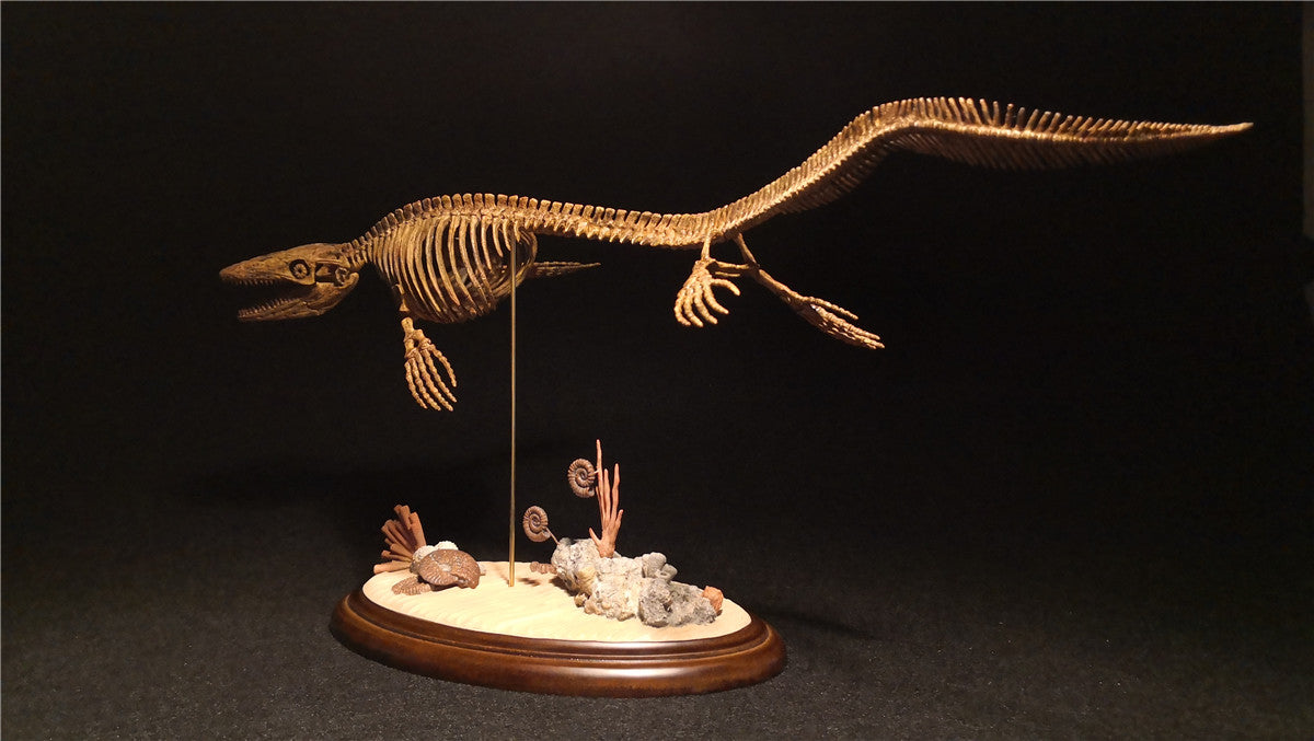 1/25 Mosasaurus Skeleton Model