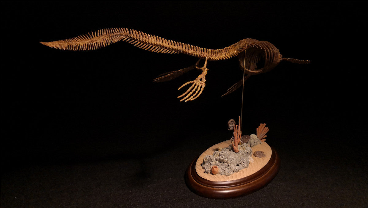 1/25 Mosasaurus Skeleton Model