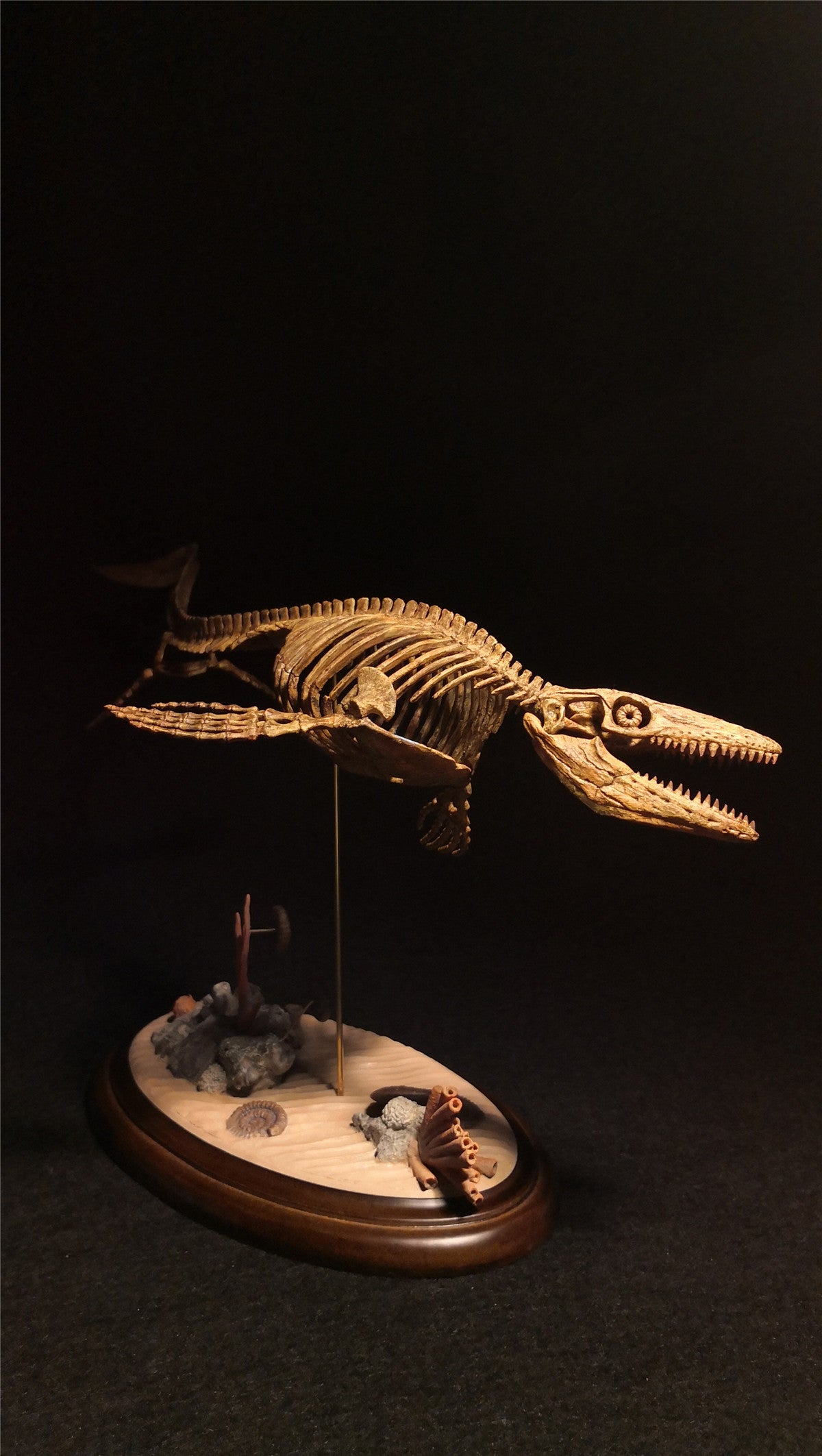 1/25 Mosasaurus Skeleton Model