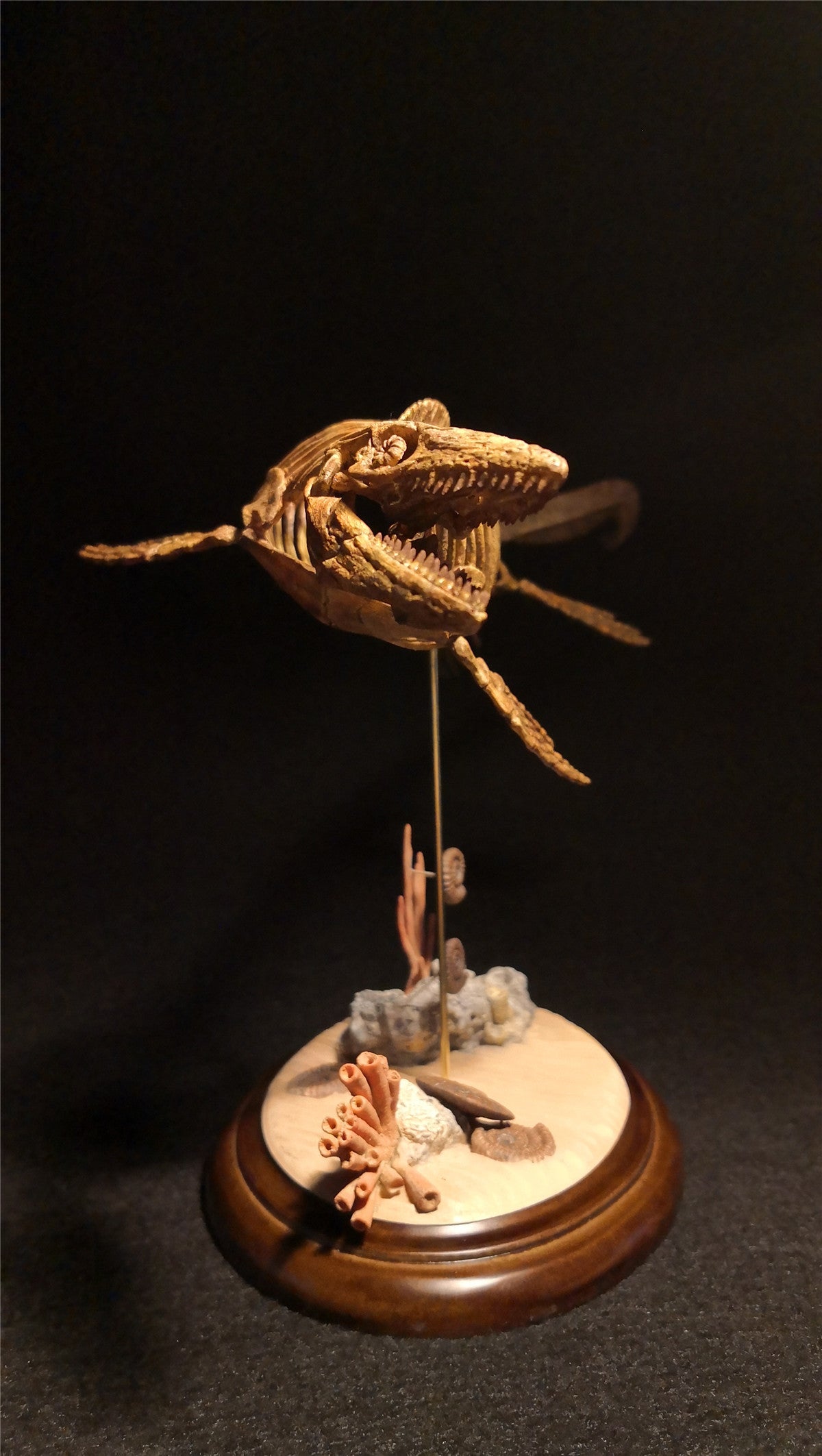 1/25 Mosasaurus Skeleton Model