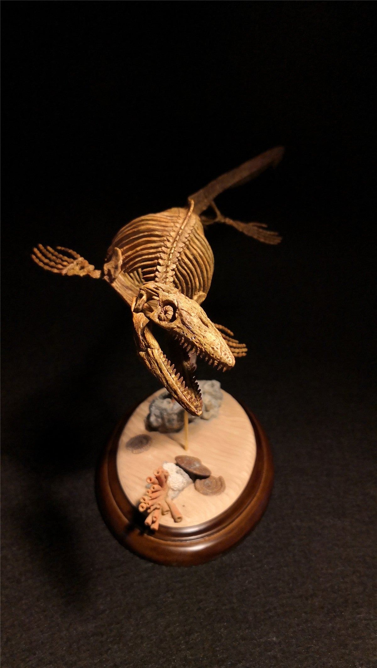 1/25 Mosasaurus Skeleton Model