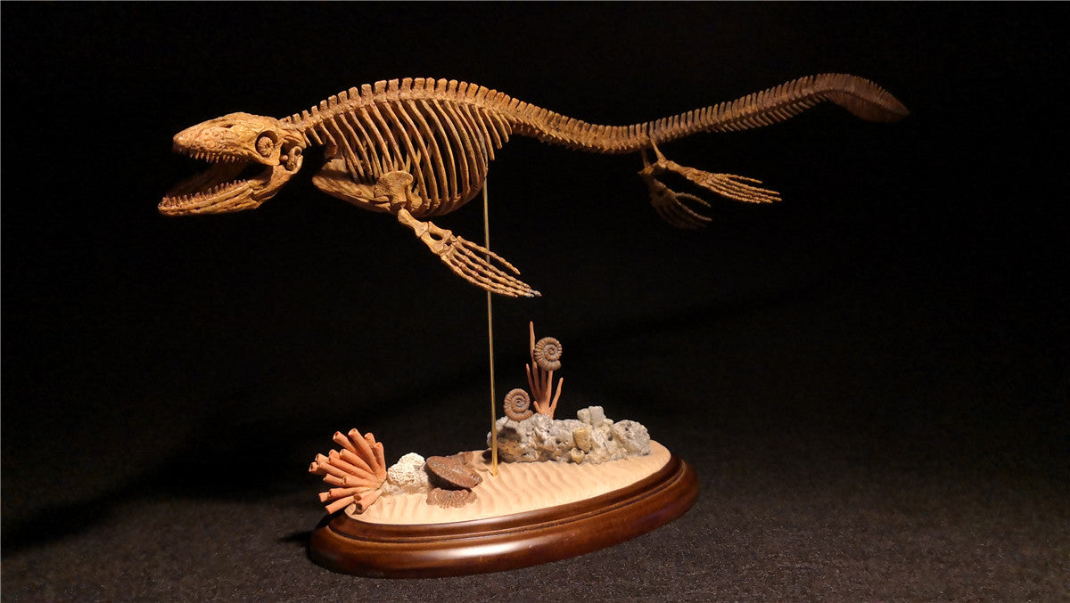 1/25 Mosasaurus Skeleton Model