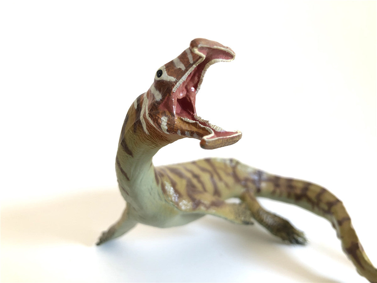 PNSO Atopodentatus Unicus Model