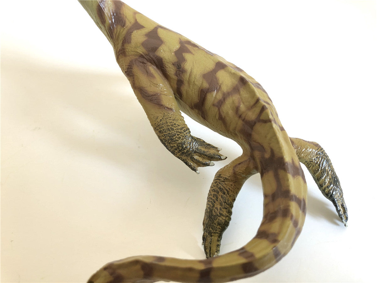 PNSO Atopodentatus Unicus Model