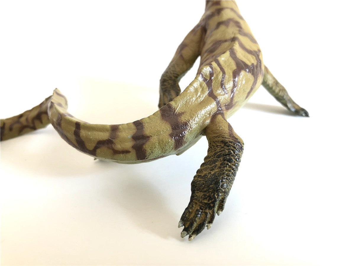 PNSO Atopodentatus Unicus Model