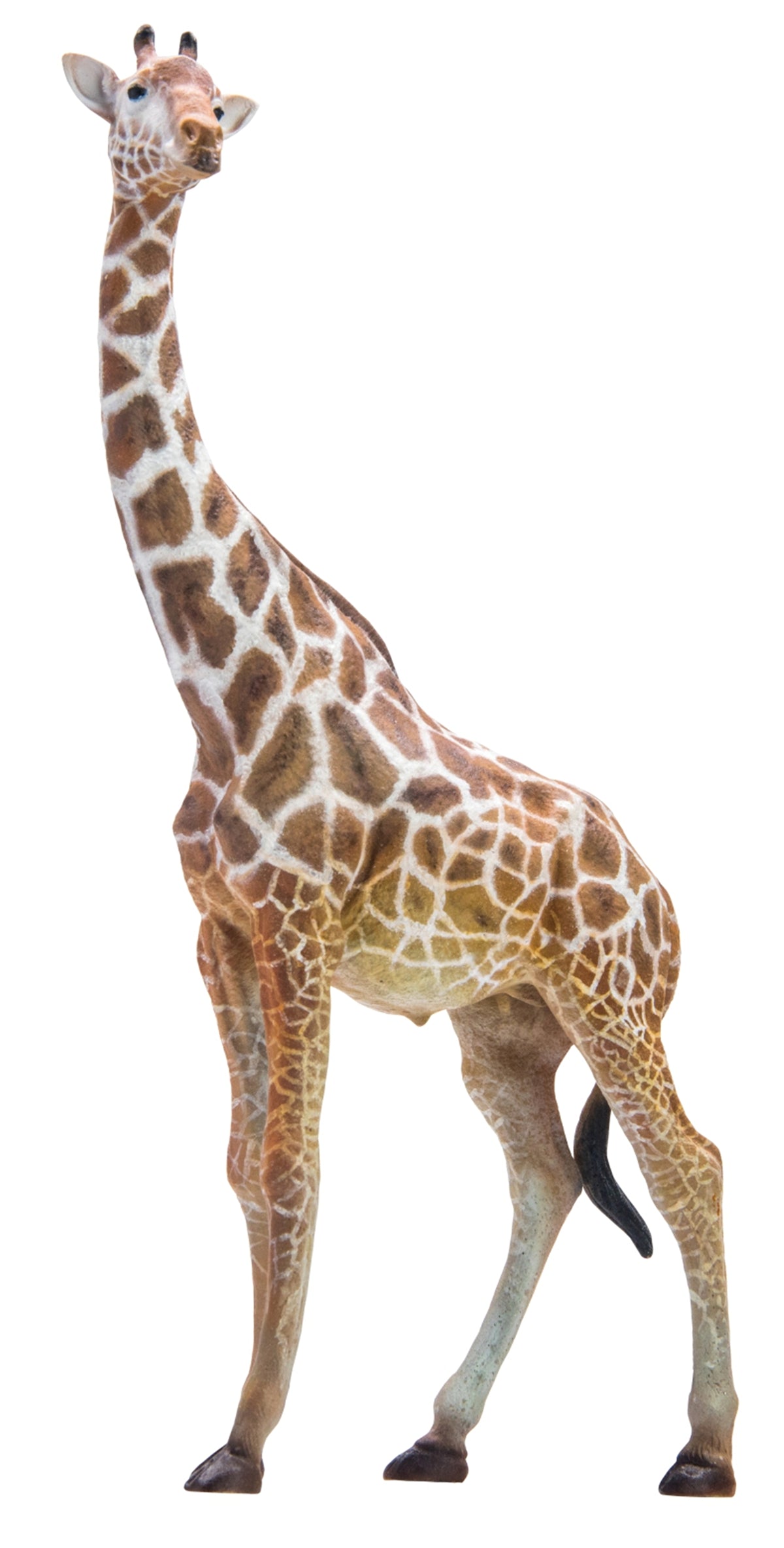 PNSO Giraffe Model