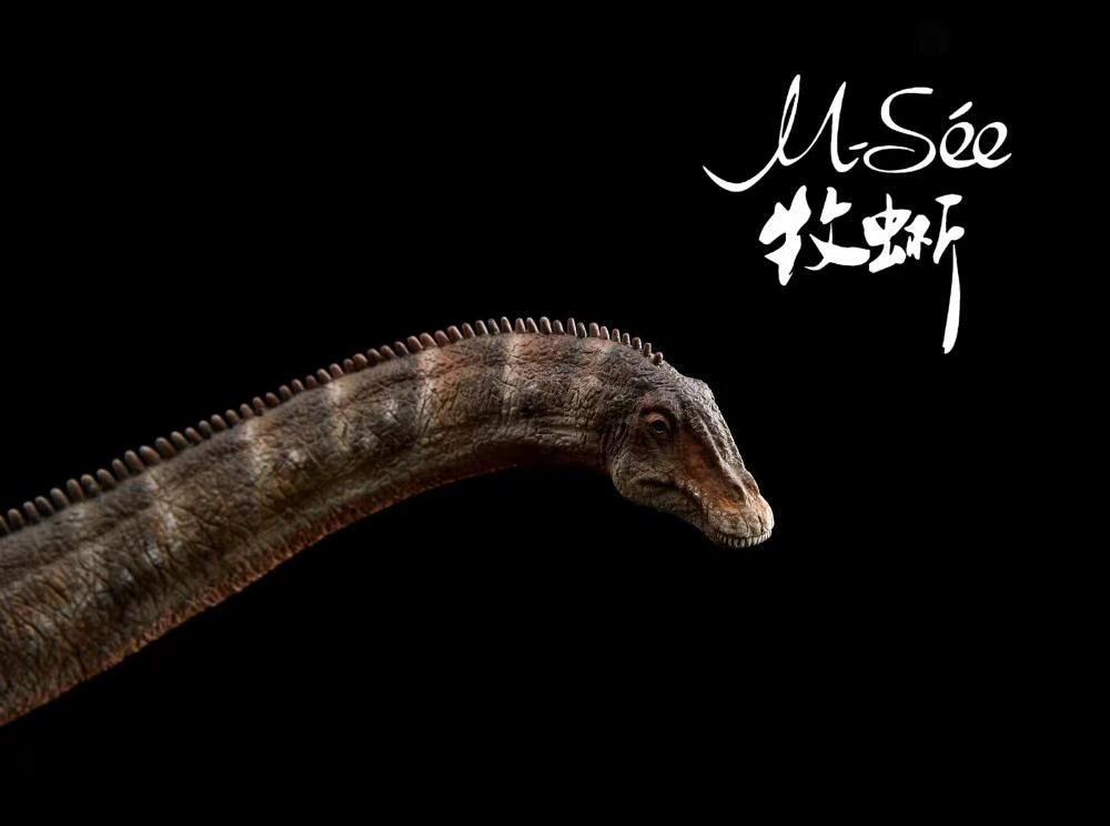 MuSee Studio 1/35 Diplodocus carnegiei Scene Statue