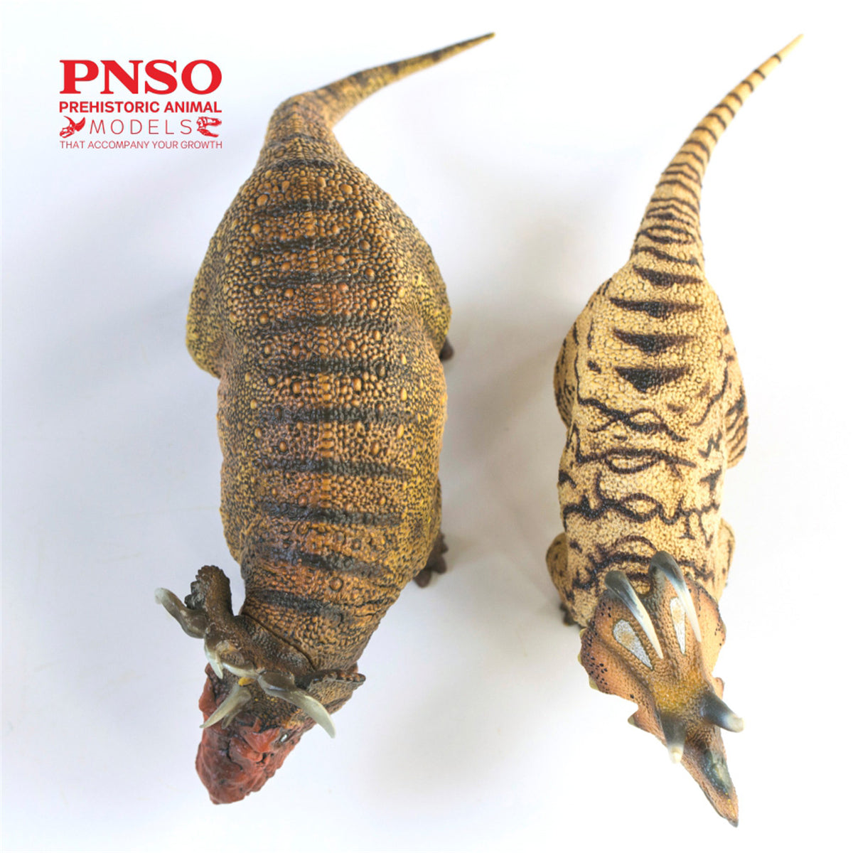 PNSO Machairoceratops Model