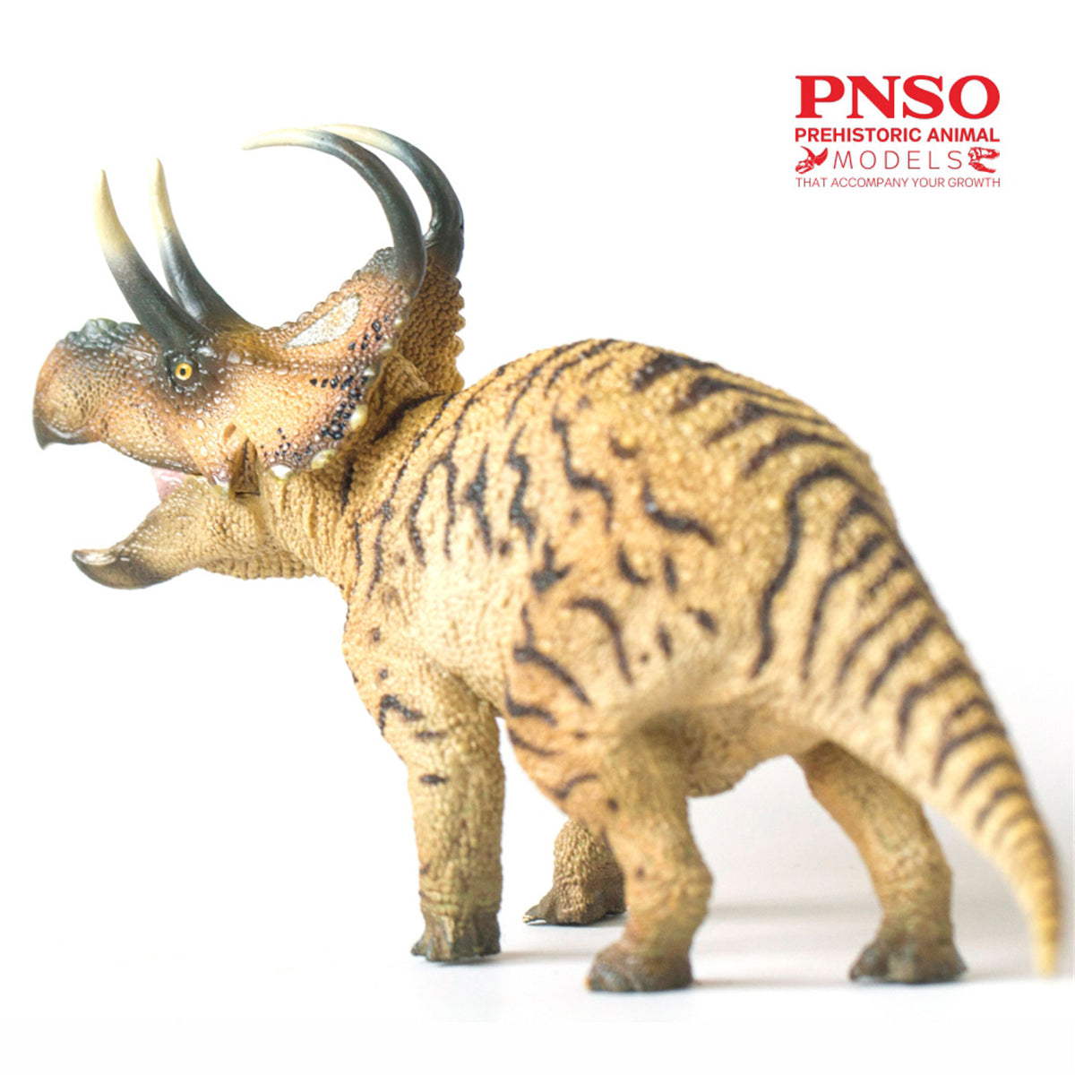 PNSO Machairoceratops Model