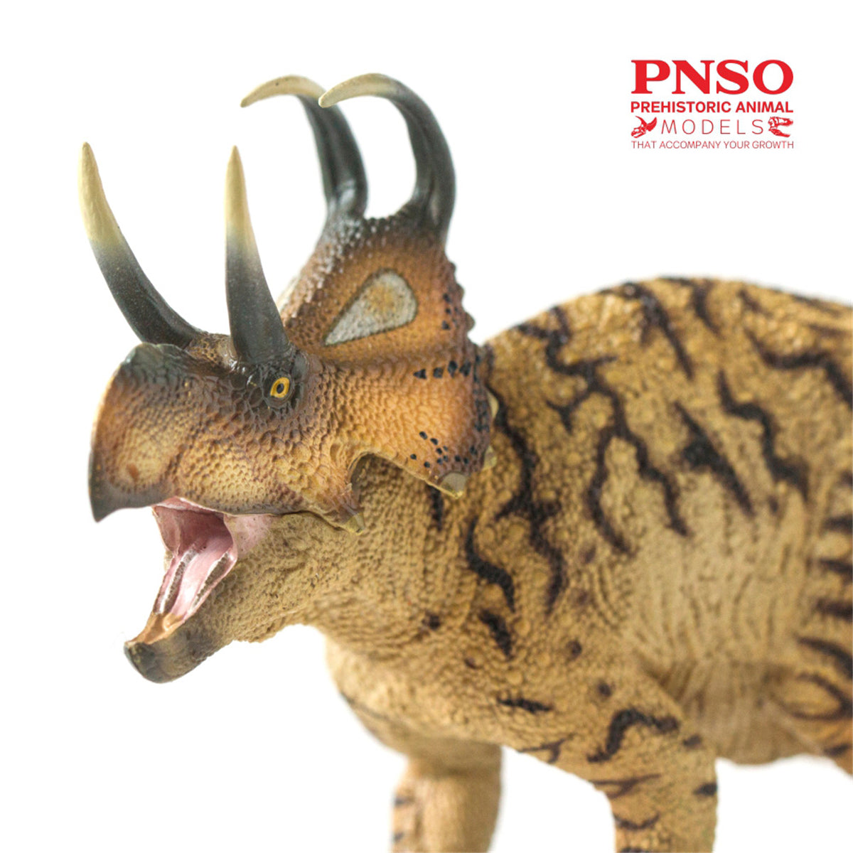 PNSO Machairoceratops Model