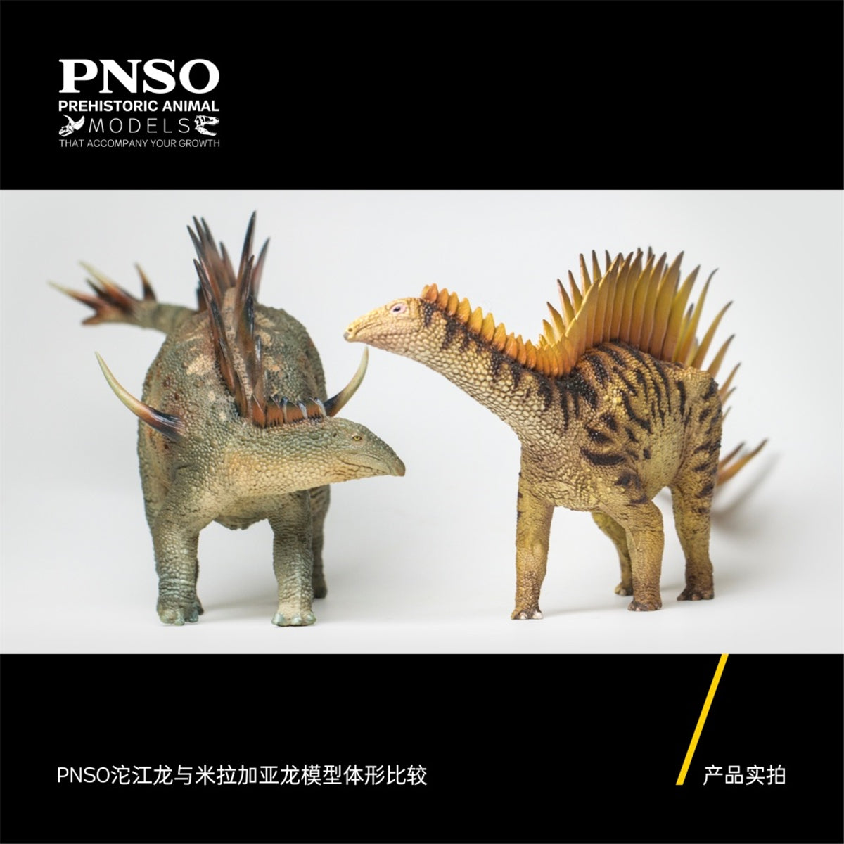 PNSO Miragaia Figure
