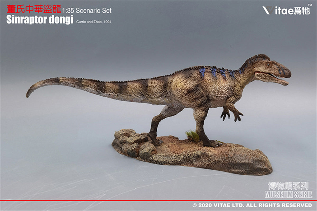 Vitae 1/35 Sinraptor dongi Model