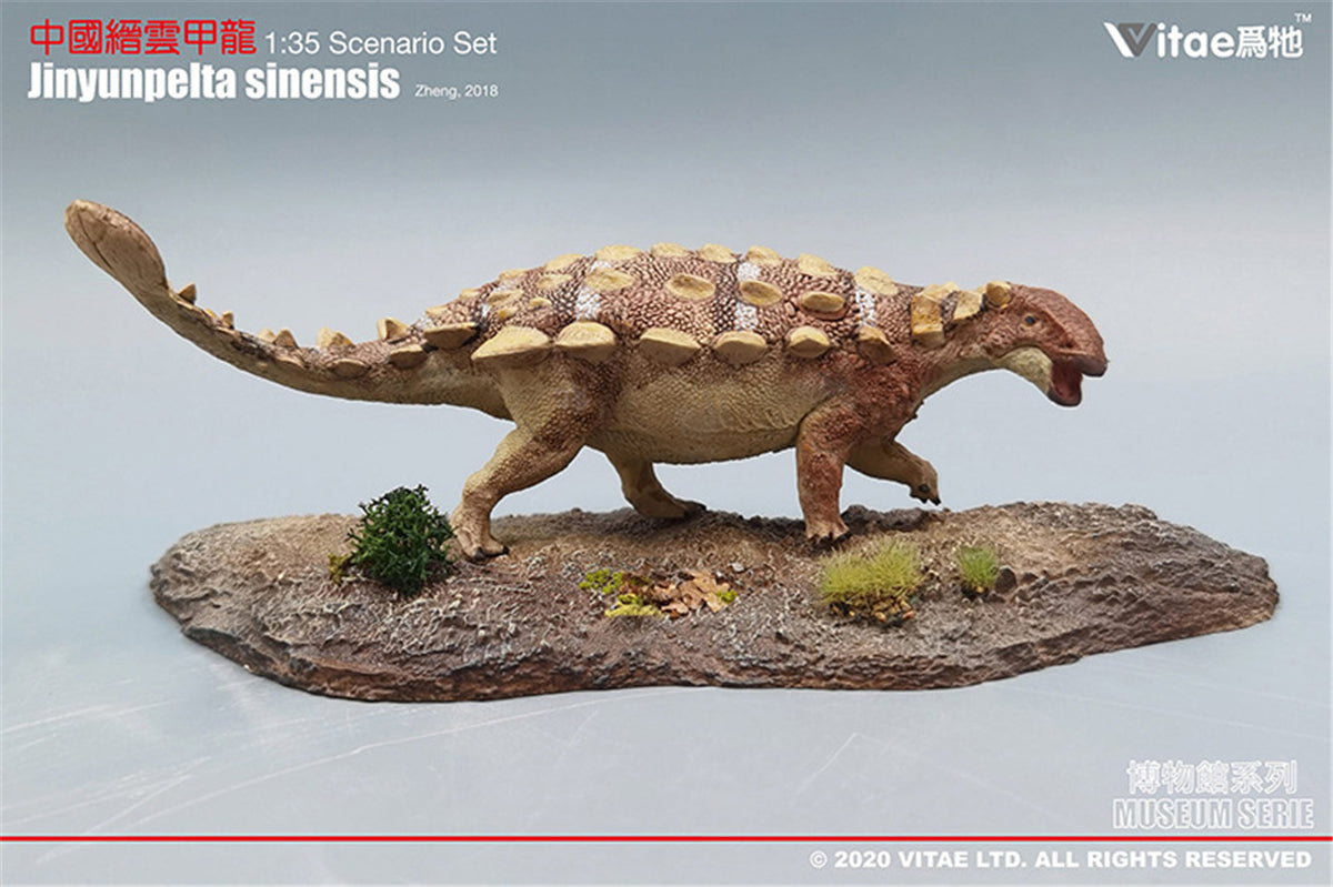 Vitae 1/35 Jinyunpelta sinensis Figure