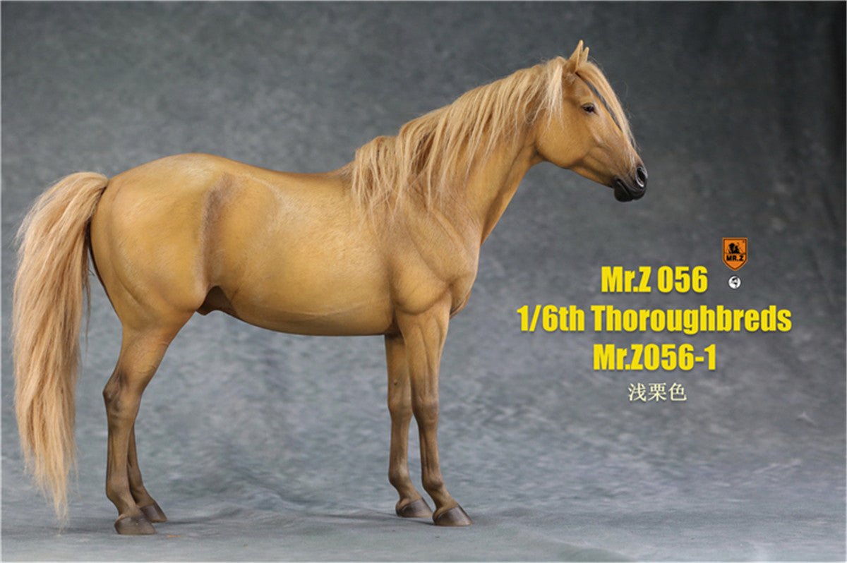 Mr.z 1/6th Thoroughbreds Figure