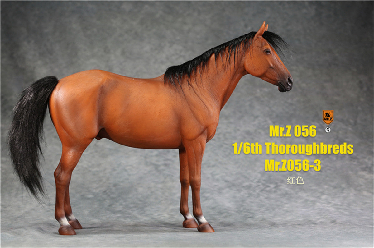 Mr.z 1/6th Thoroughbreds Figure