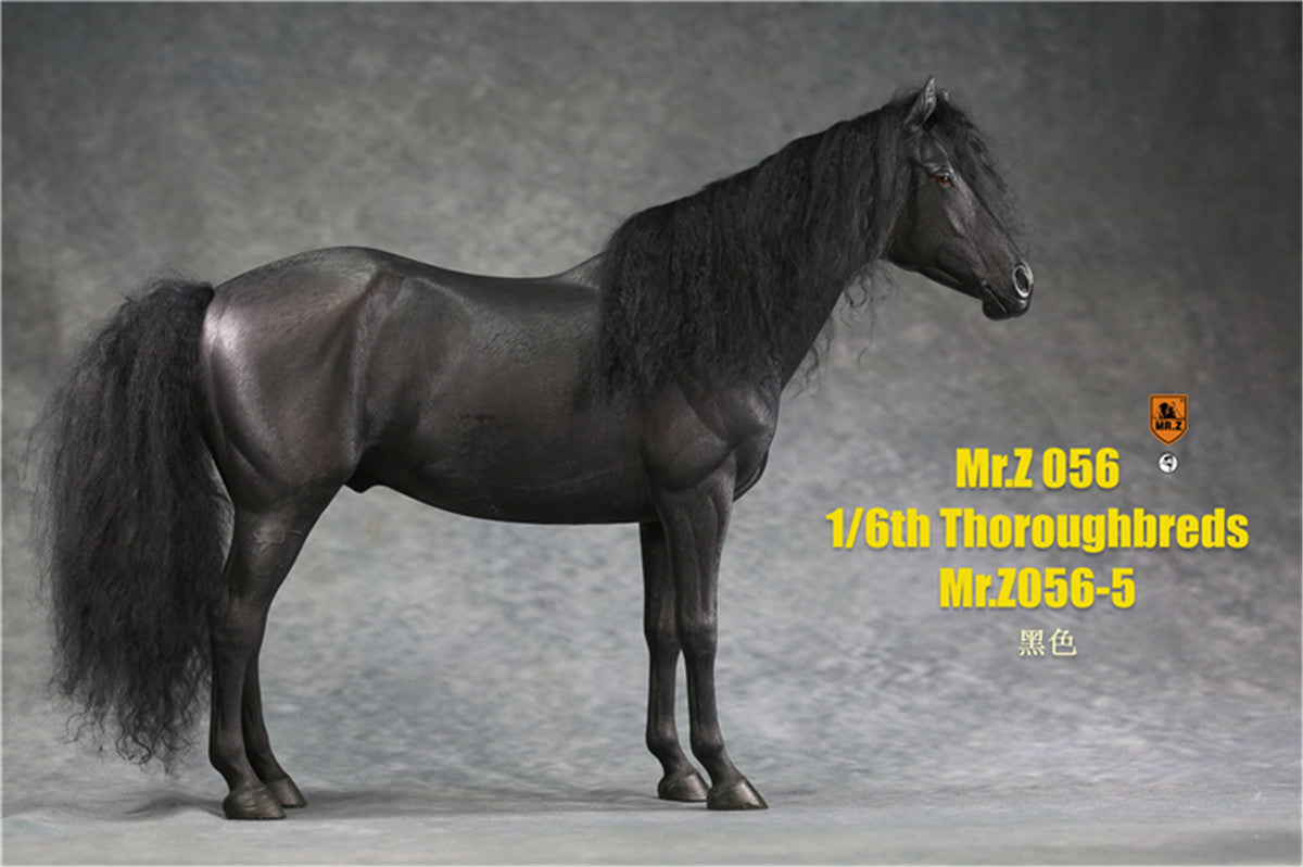 Mr.z 1/6th Thoroughbreds Figure