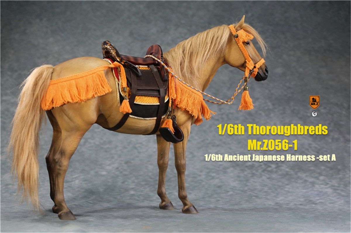 Mr.z 1/6th Thoroughbreds Figure