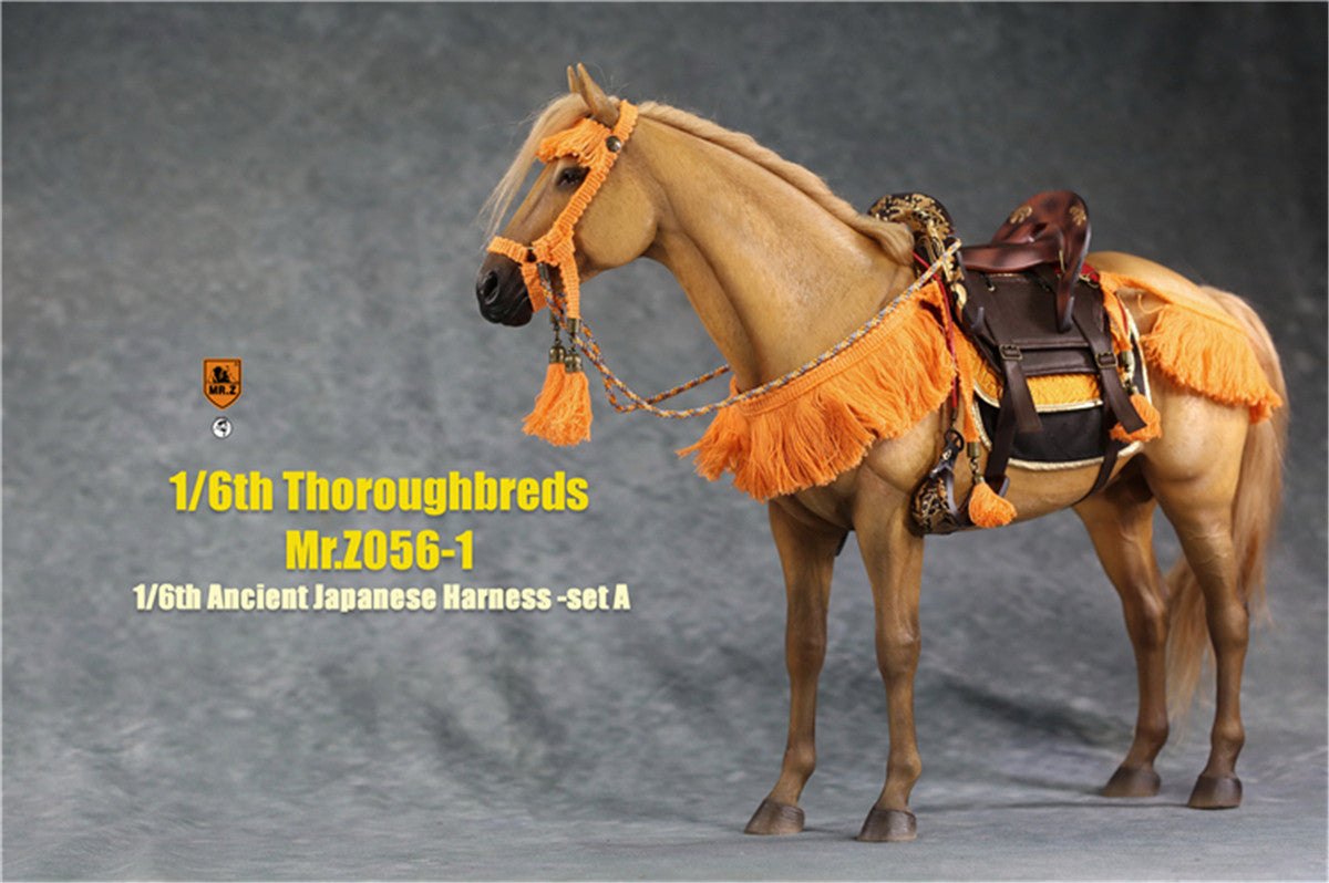 Mr.z 1/6th Thoroughbreds Figure