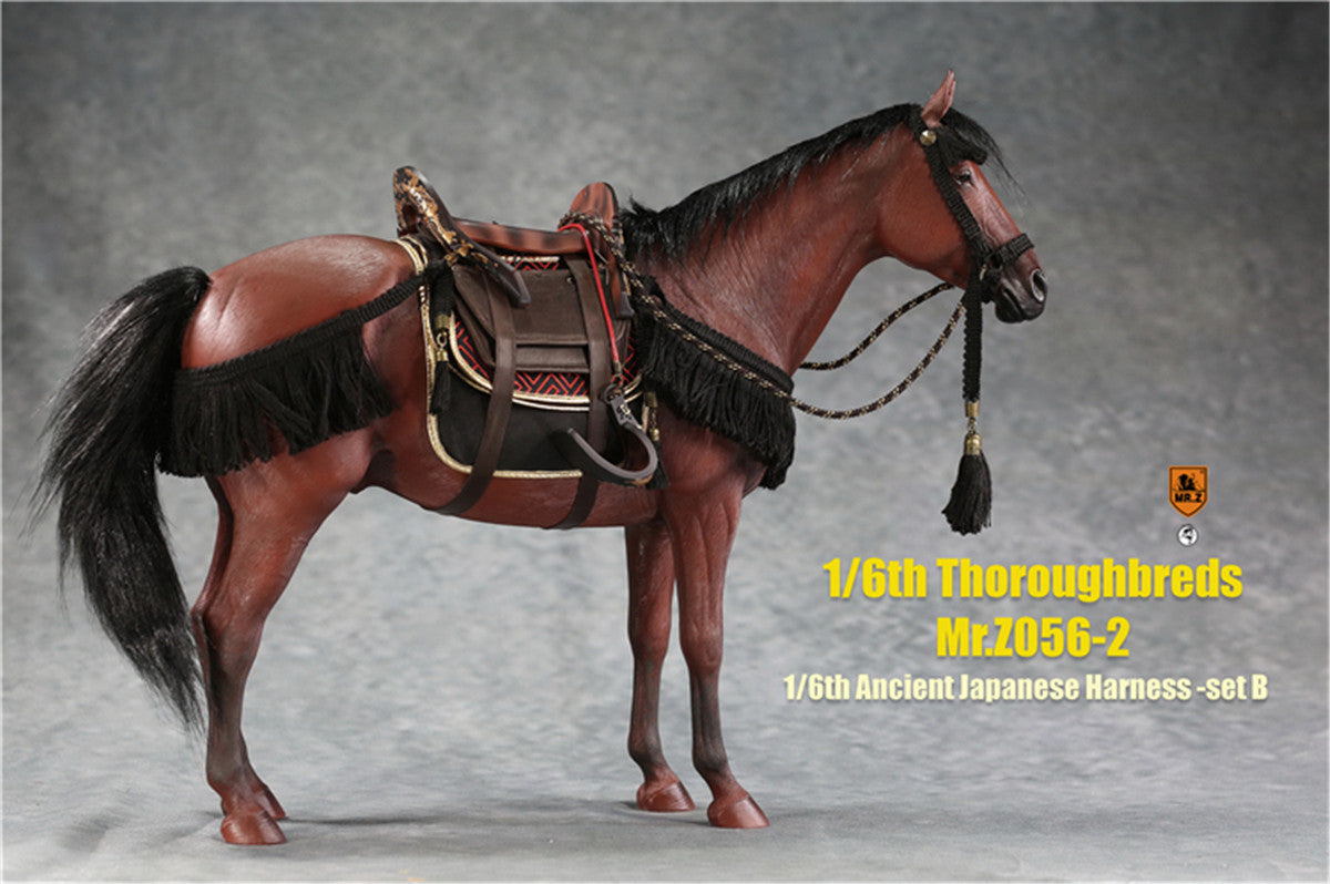 Mr.z 1/6th Thoroughbreds Figure