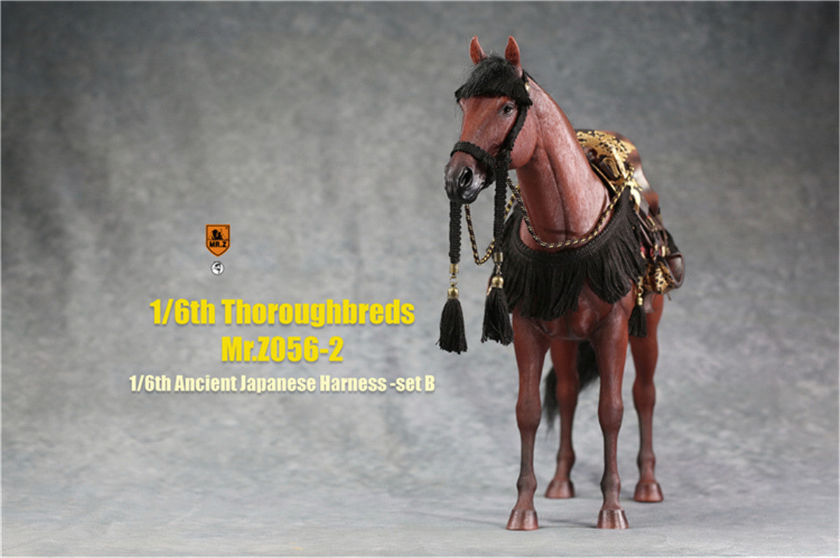 Mr.z 1/6th Thoroughbreds Figure