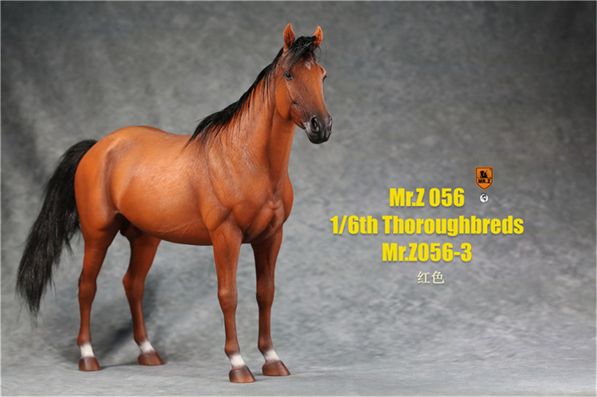 Mr.z 1/6th Thoroughbreds Figure