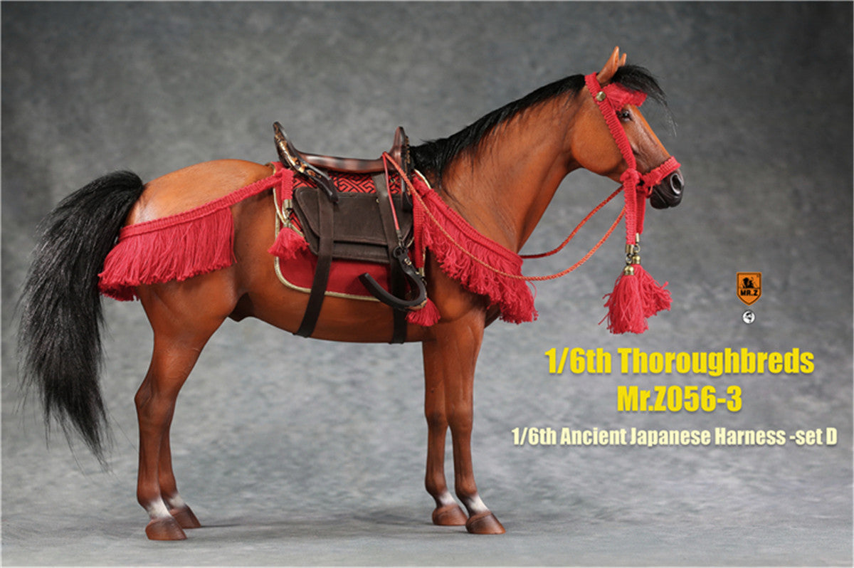 Mr.z 1/6th Thoroughbreds Figure