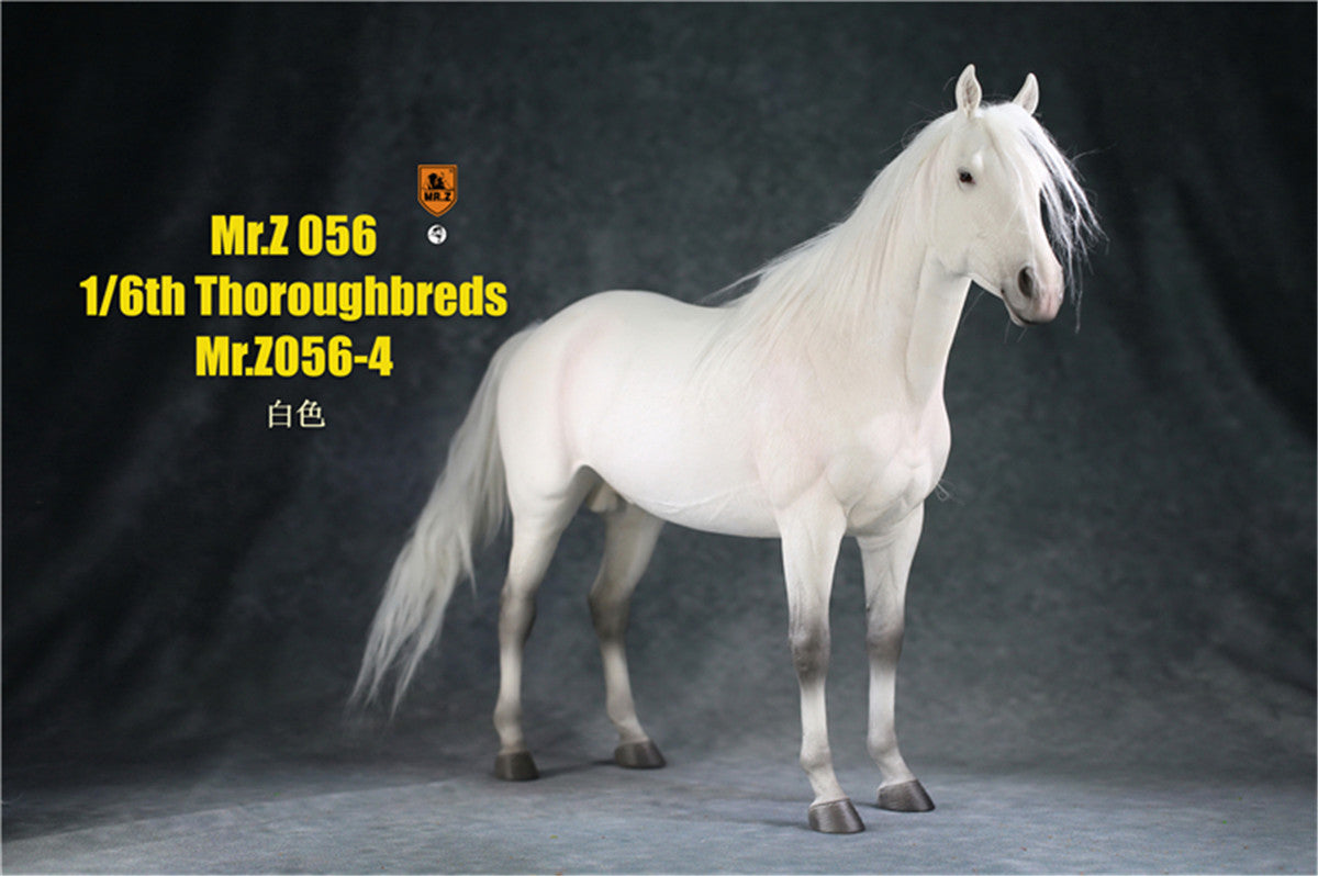 Mr.z 1/6th Thoroughbreds Figure