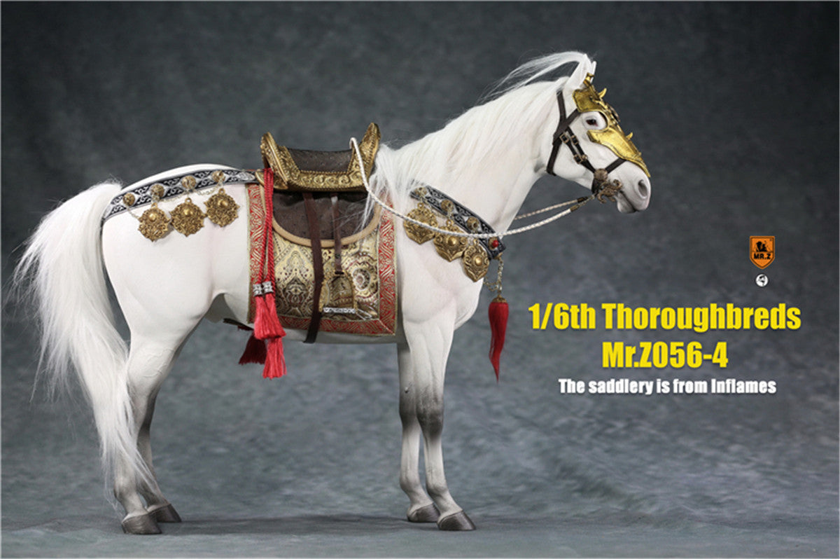 Mr.z 1/6th Thoroughbreds Figure