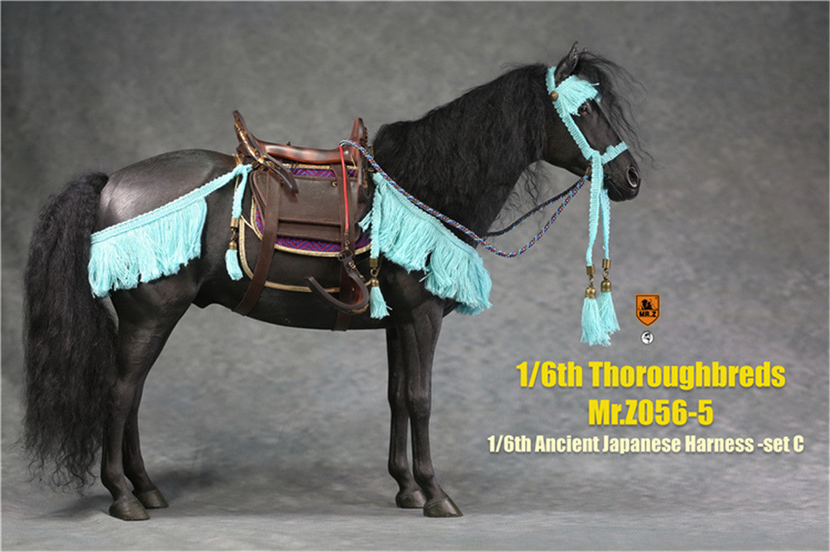 Mr.z 1/6th Thoroughbreds Figure