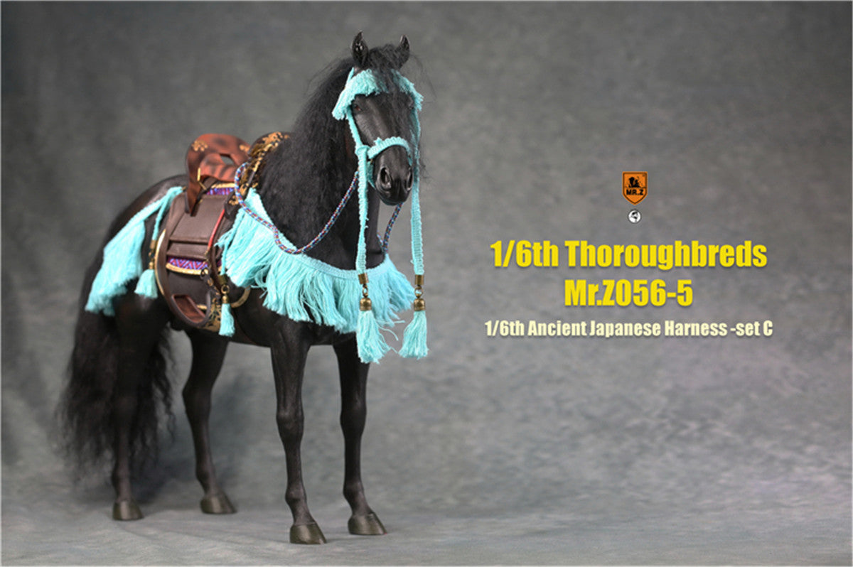 Mr.z 1/6th Thoroughbreds Figure