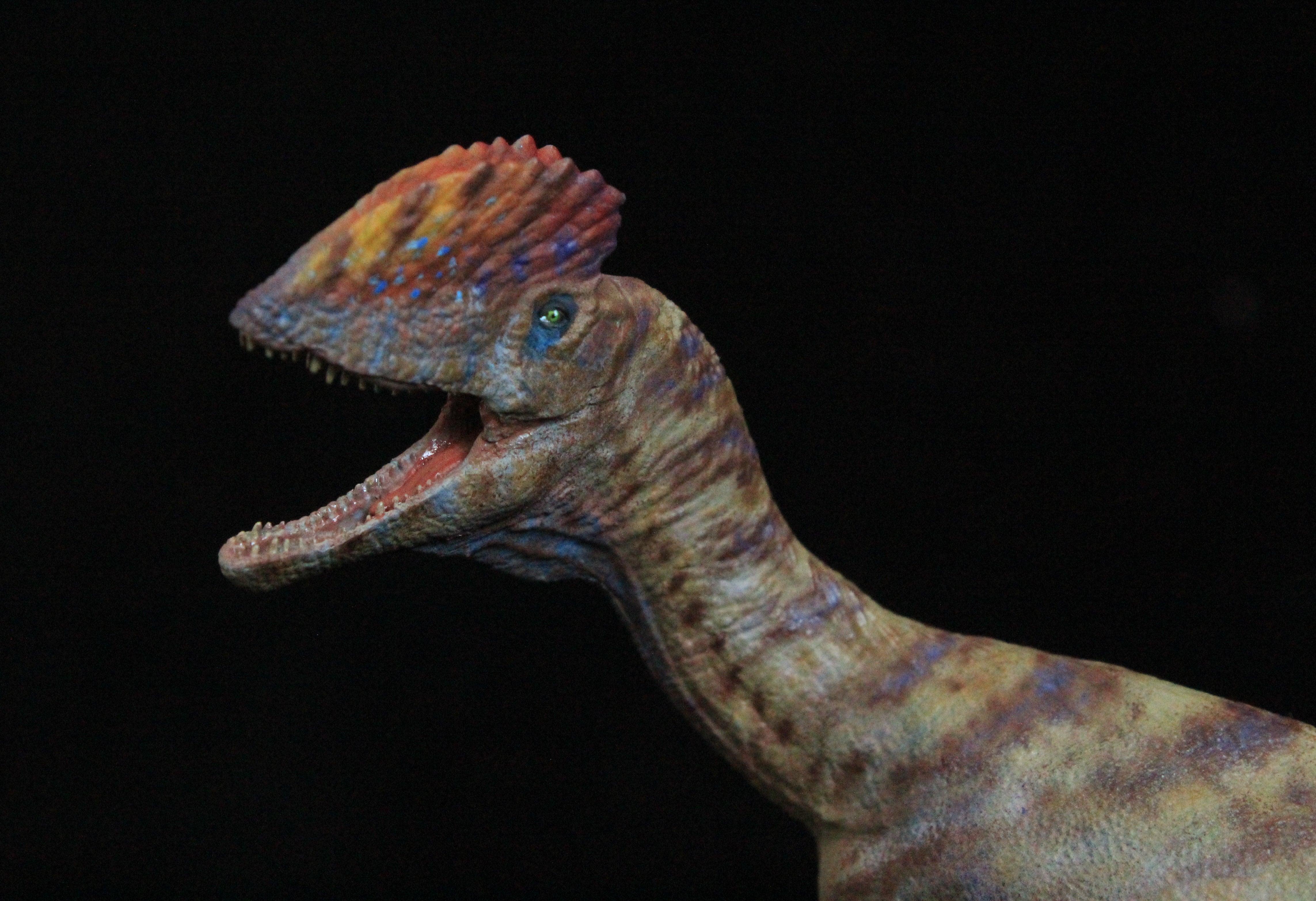 1/35 Dilophosaurus wetherelli Model
