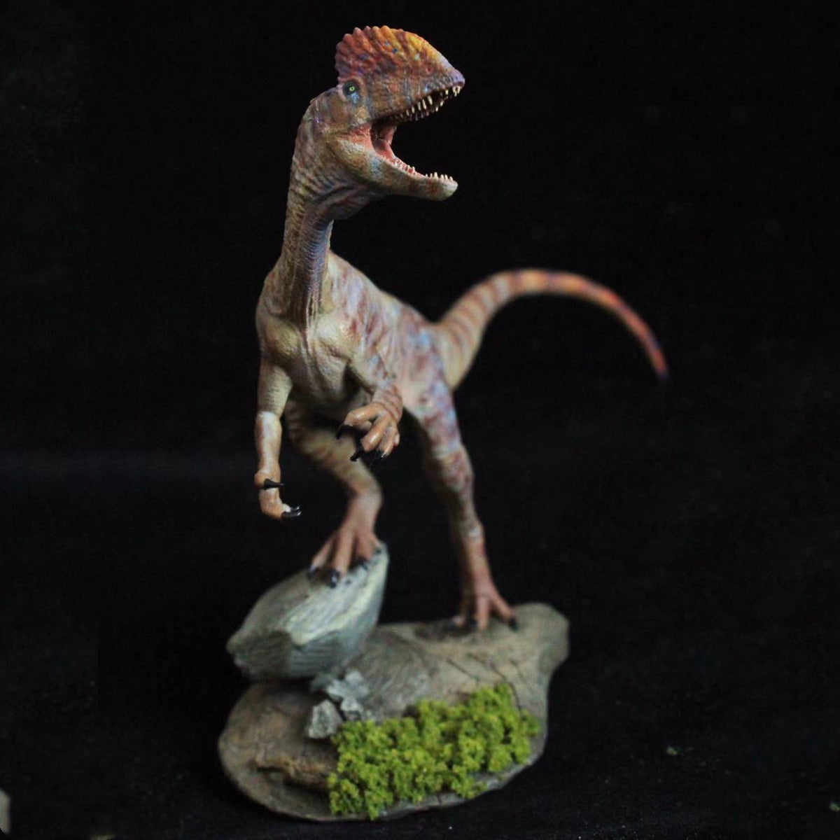 1/35 Dilophosaurus wetherelli Model