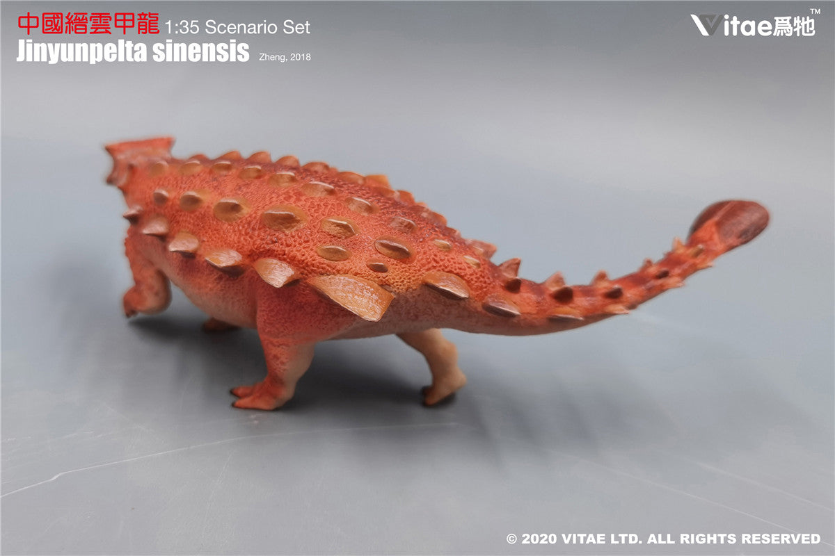 Vitae 1/35 Jinyunpelta sinensis Model