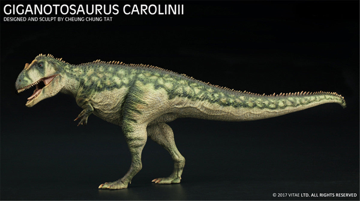 Vitae 1/35 Giganotosaurus carolinii Figure