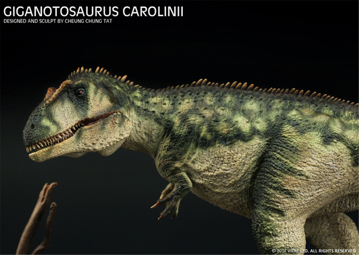 Vitae 1/35 Giganotosaurus carolinii Figure