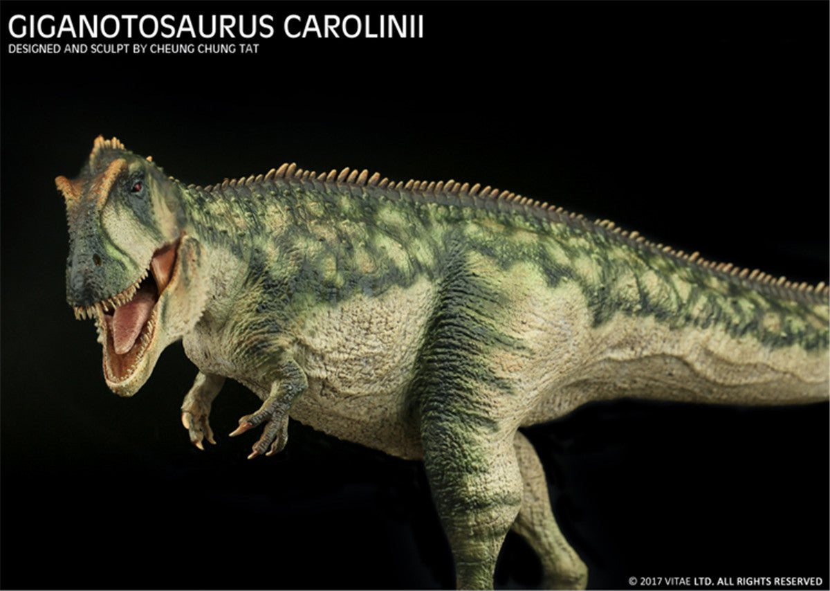 Vitae 1/35 Giganotosaurus carolinii Figure