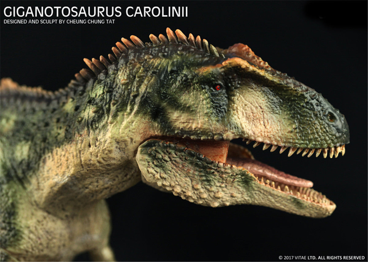Vitae 1/35 Giganotosaurus carolinii Figure