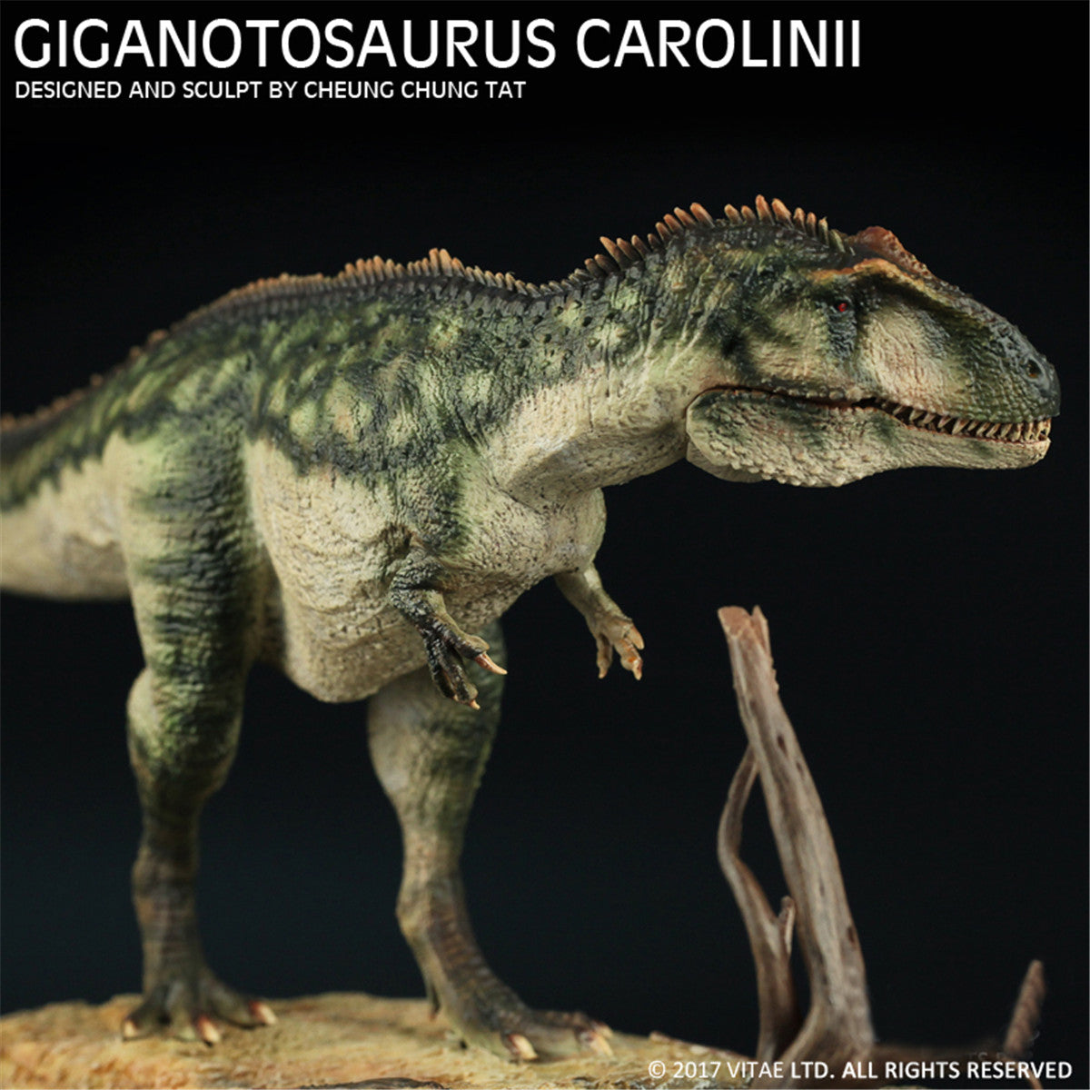 Vitae 1/35 Giganotosaurus carolinii Figure