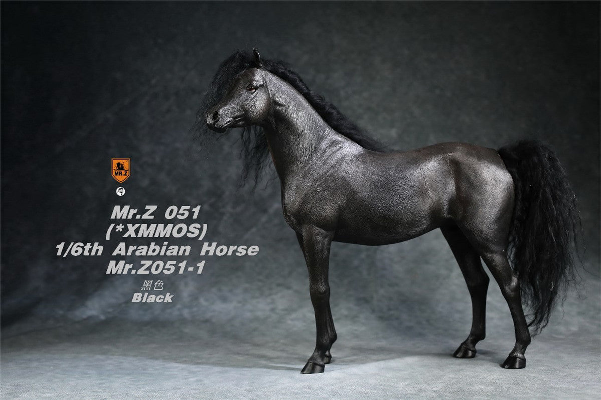 Mr.Z 1/6 Arabian Horse Model