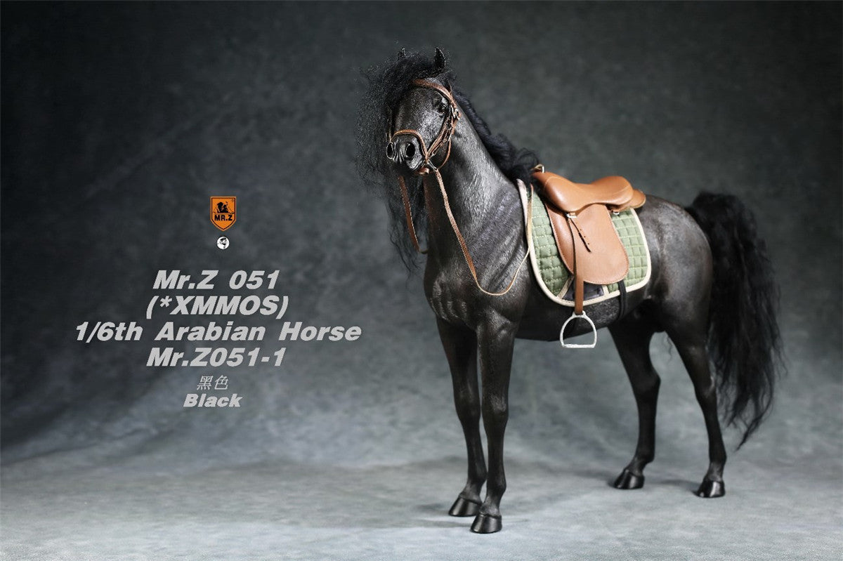 Mr.Z 1/6 Arabian Horse Model