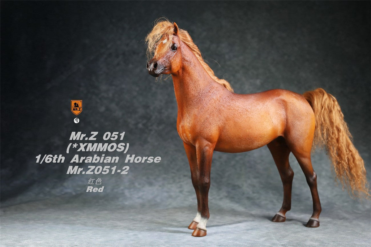 Mr.Z 1/6 Arabian Horse Model