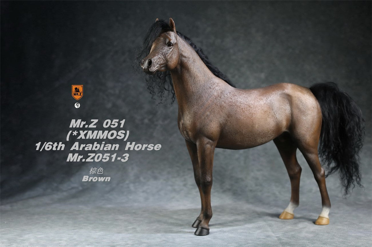 Mr.Z 1/6 Arabian Horse Model