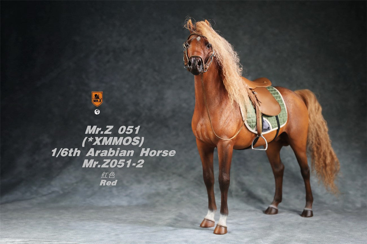 Mr.Z 1/6 Arabian Horse Model