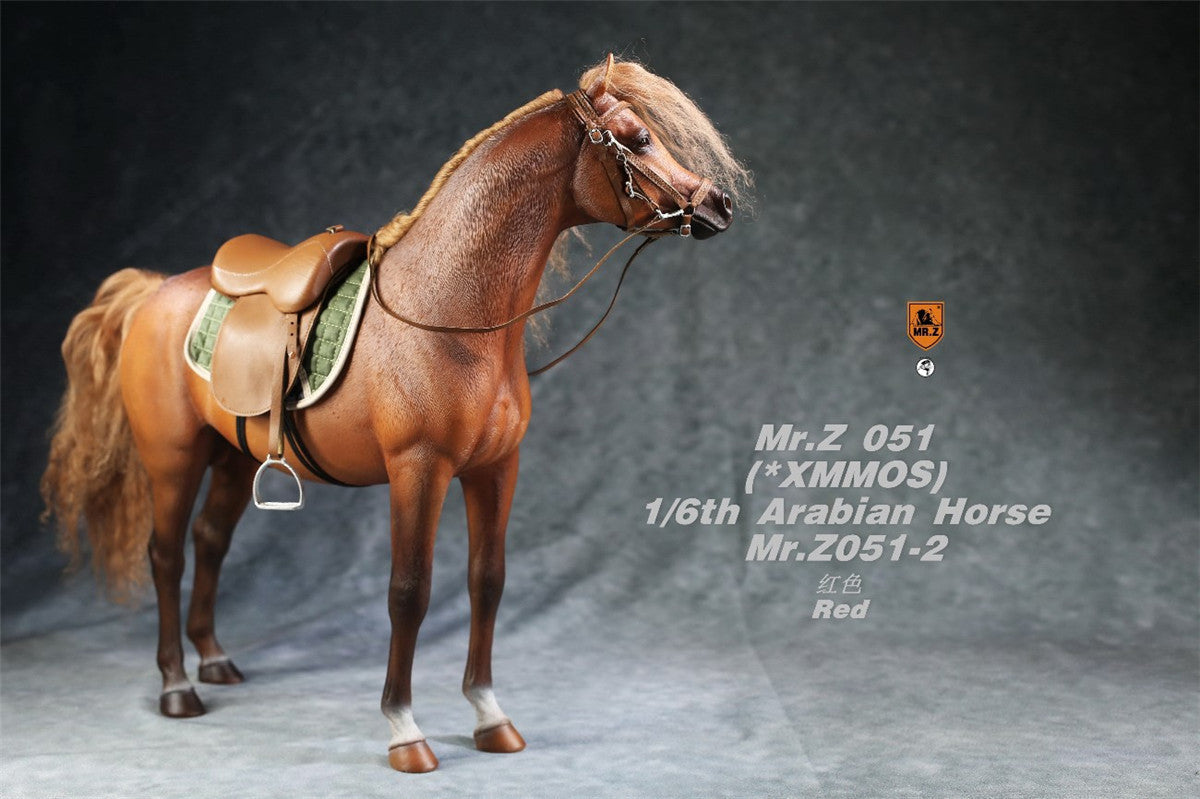 Mr.Z 1/6 Arabian Horse Model