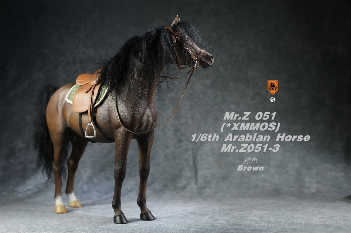 Mr.Z 1/6 Arabian Horse Model
