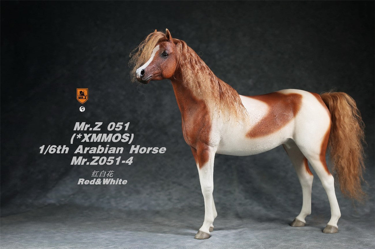 Mr.Z 1/6 Arabian Horse Model