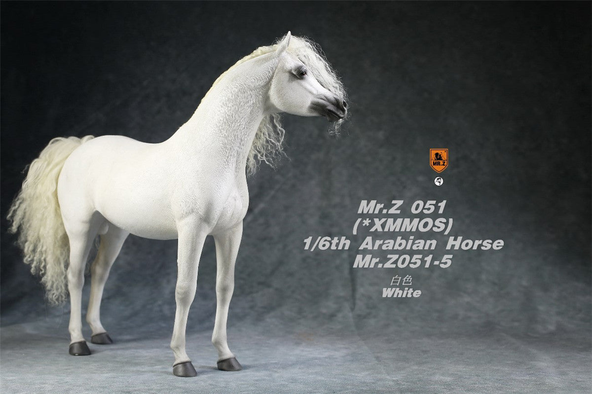 Mr.Z 1/6 Arabian Horse Model